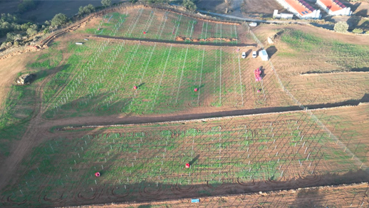 mas_pinos_tiurana Imatge de la planta Mas Pinós